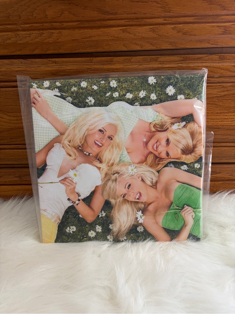 The Girls Next Door Canvas Art Print 12 X 12 Holly Bridget Kendra Playboy